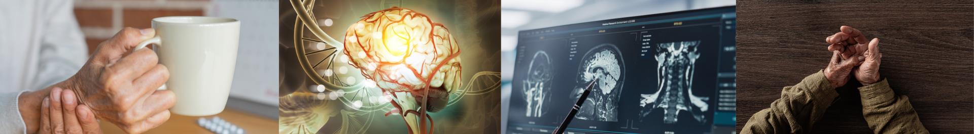 Sierra Neurosurgery Nevada pain management